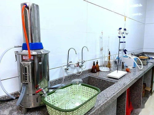 高州食品集團再添新動能 | 果鄉花生油廠正式投產，滴滴純正引領健康生活